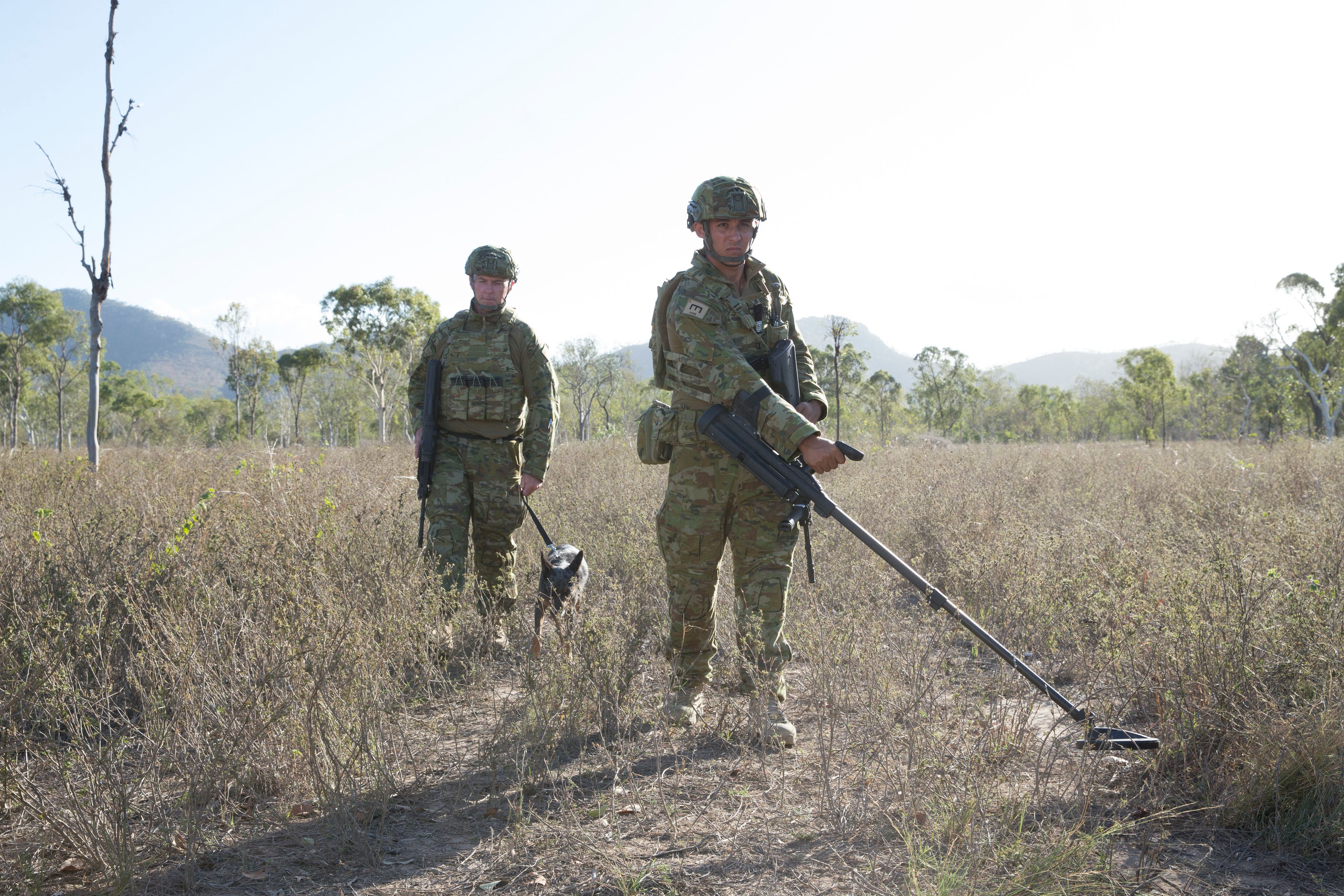 Three Army members work with a dog out in the field.